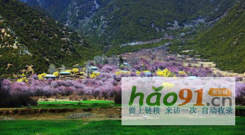 “四季如畫(huà)·工布江達(dá)”第二十二屆林芝桃花節(jié)專場(chǎng)4月3日啟幕