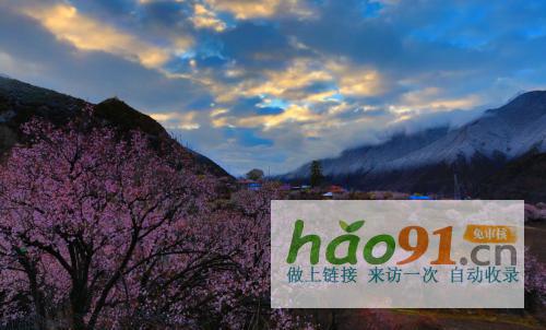 “四季如畫(huà)·工布江達(dá)”第二十二屆林芝桃花節(jié)專場(chǎng)4月3日啟幕