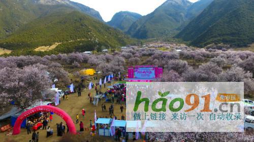 “四季如畫(huà)·工布江達(dá)”第二十二屆林芝桃花節(jié)專場(chǎng)4月3日啟幕