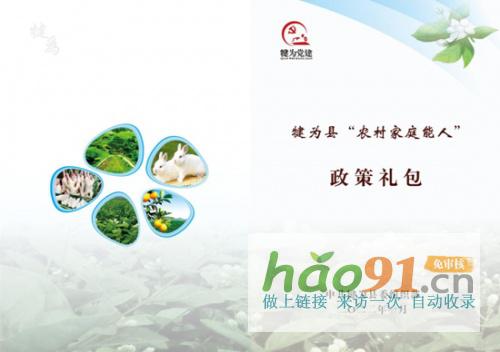 【鄉(xiāng)村振興】四川犍為：培塑“雁陣”“農(nóng)村家庭能人”領(lǐng)頭“高飛”