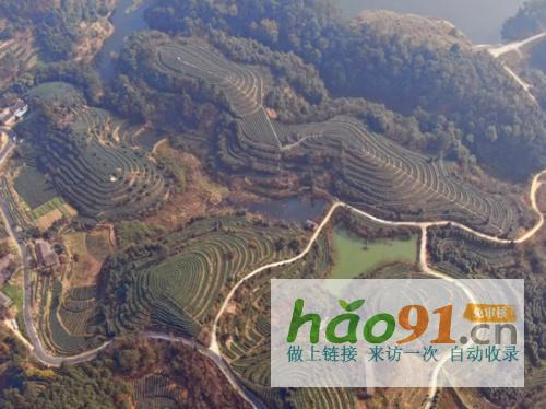 【鄉(xiāng)村振興】四川犍為：培塑“雁陣”“農(nóng)村家庭能人”領(lǐng)頭“高飛”