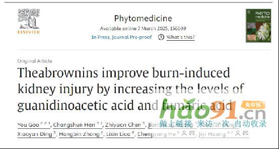 【科研速報】荷蓬茶源素通過代謝調控實現多維度腎臟保護