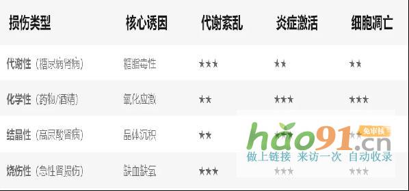 【科研速報】荷蓬茶源素通過代謝調(diào)控實現(xiàn)多維度腎臟保護