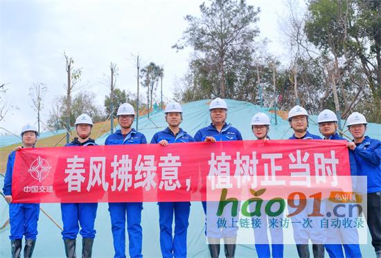 中交二航局白云城際主干道二標項目：植綠護綠，踐行使命