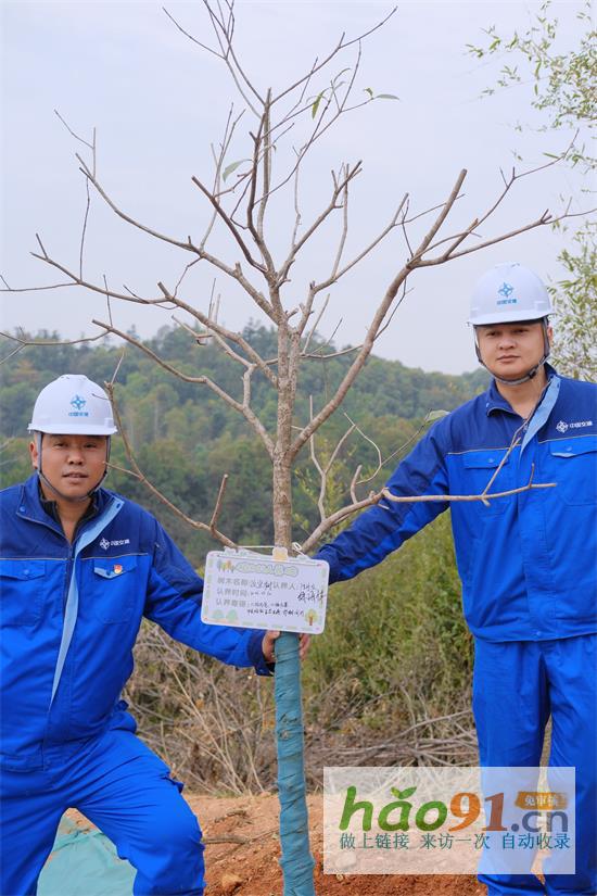 中交二航局白云城際主干道二標項目：植綠護綠，踐行使命