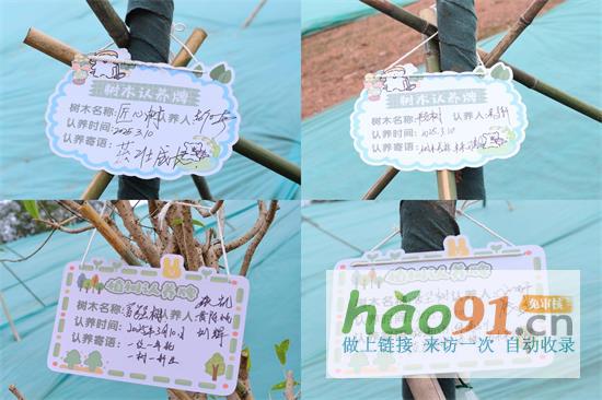 中交二航局白云城際主干道二標項目：植綠護綠，踐行綠色使命