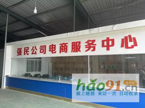 一個鄂北鄉村的產業突圍與美麗新生