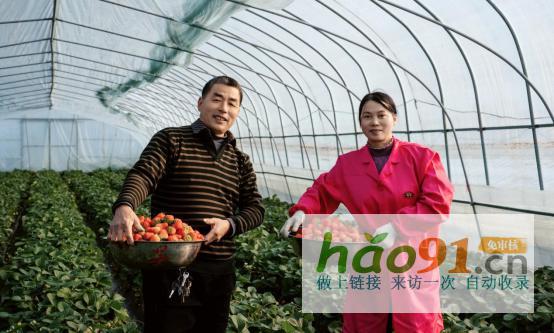 讓“土特產”闖出“大市場”！地利集團以現代流通賦能振興