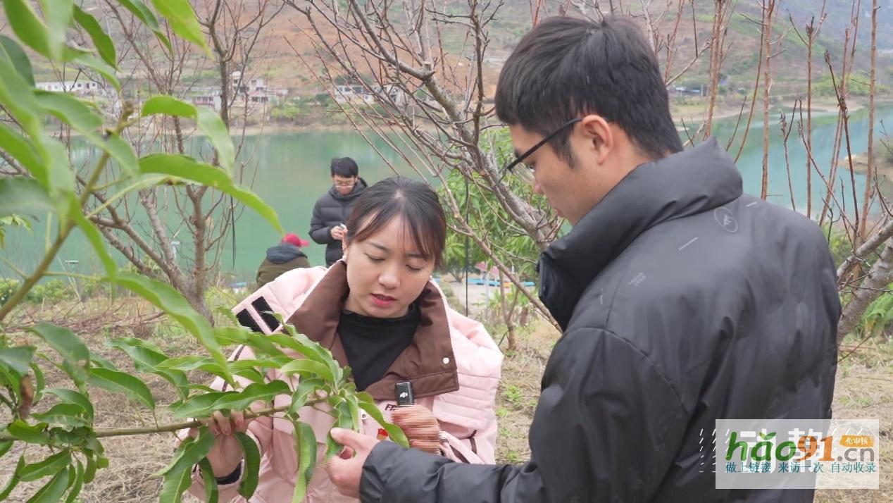 “村”潮涌動處振興正當時