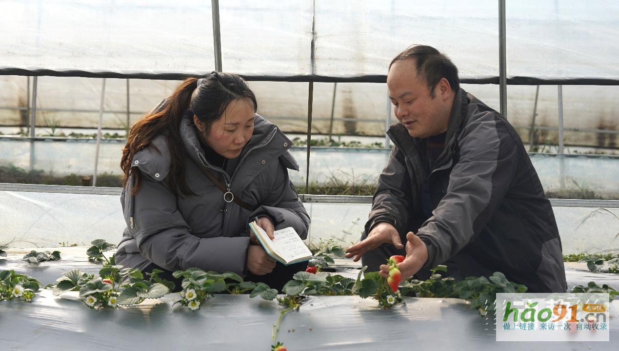 “村”潮涌動處振興正當時