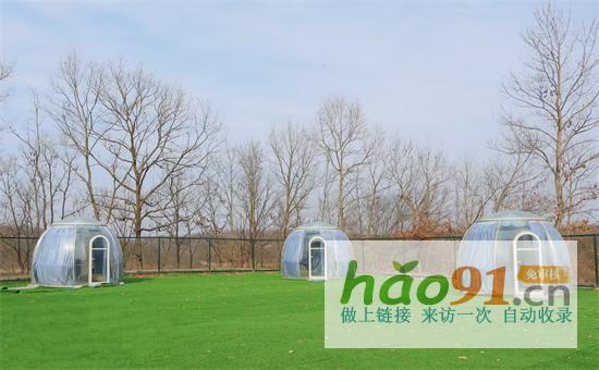 撥動(dòng)鄉(xiāng)土心弦唱響振興之歌