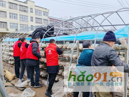 湖北隨州:“書記負(fù)責(zé)制”激活基層治理“一池春水”