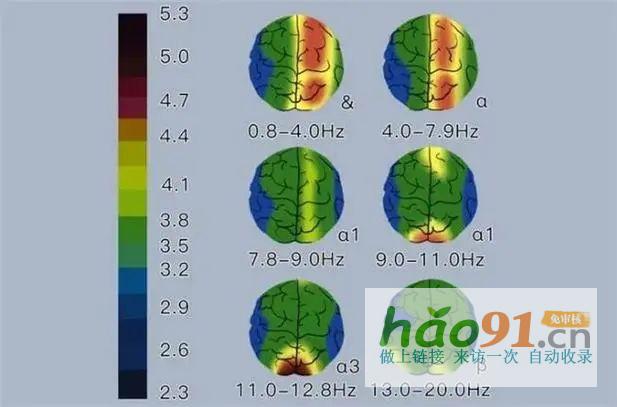 金博智慧：科學(xué)訓(xùn)練提升兒童專注力，神經(jīng)機制與實踐路徑探析