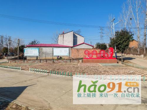 湖北隨州：葡萄架下迎豐年