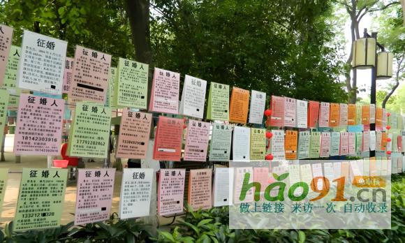 尋緣相親角：助力愛(ài)之花綻放，1月喜訊頻傳