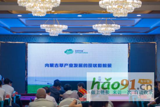 內(nèi)蒙古林草產(chǎn)業(yè)協(xié)會(huì)第四屆理事會(huì)換屆大會(huì)暨林草產(chǎn)業(yè)發(fā)展論壇召開(kāi)_熱點(diǎn)新聞