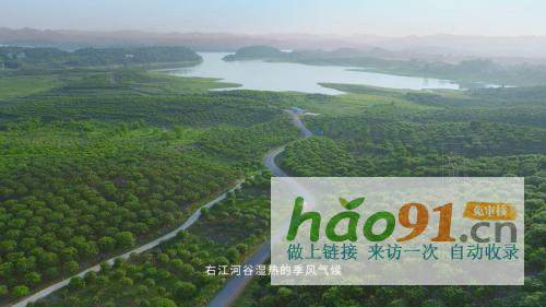 從中華特色館到蘇寧拼購90后芒果銷售“老司機(jī)”是這樣煉成的