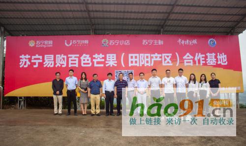 從中華特色館到蘇寧拼購90后芒果銷售“老司機”是這樣煉成的