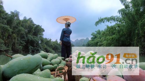 從中華特色館到蘇寧拼購90后芒果銷售“老司機”是這樣煉成的