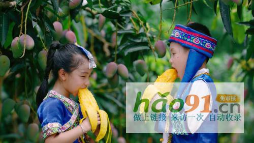 從中華特色館到蘇寧拼購90后芒果銷售“老司機”是這樣煉成的