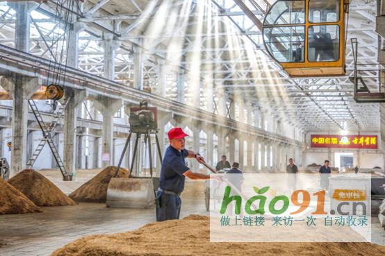 古井貢酒年份原漿丨且赴酒城走一遭,摘得美酒醉清秋