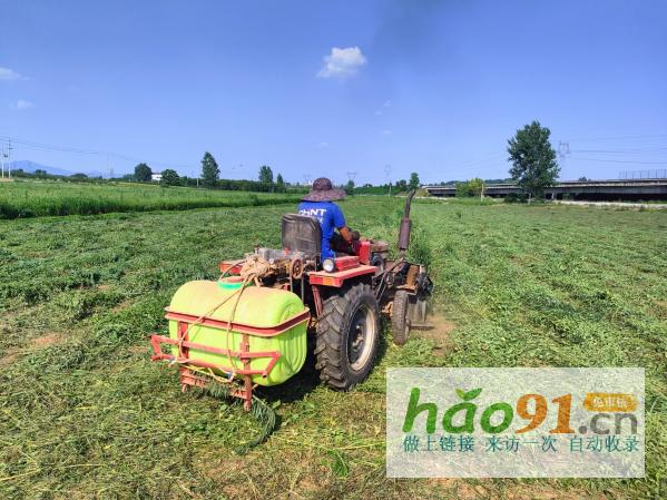 河南廣宇集團董事長王廣宇：磐石之心，筑夢中醫藥輝煌篇章