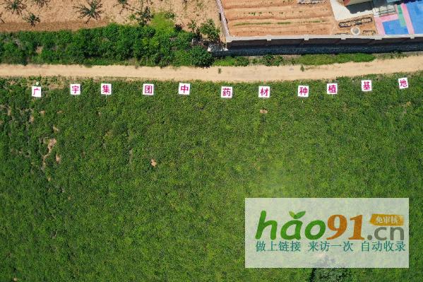 河南廣宇集團董事長王廣宇：磐石之心，筑夢中醫藥輝煌篇章