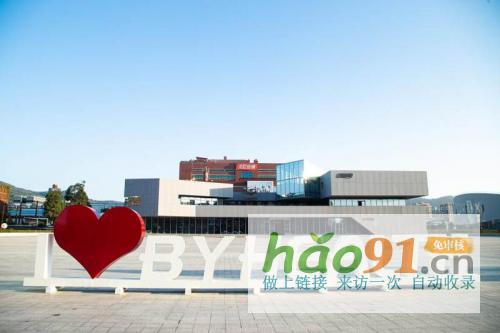 渠道優化與產品創新并行，湯臣倍健持續領跑VDS市場