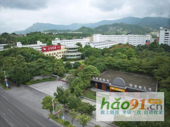 刷新歷史!八馬茶業五年榮膺兩大名茶原產地納稅第一稱號