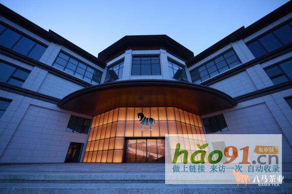 刷新歷史!八馬茶業五年榮膺兩大名茶原產地納稅第一稱號