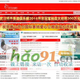 中鴿網