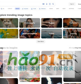 必應圖像靈感源