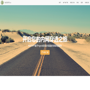 NATAPP基于ngrok的國內高速內網穿透服務