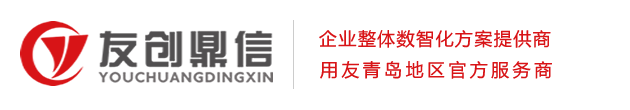 青島財務(wù)軟件