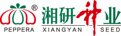 湖南湘研種業(yè)有限公司