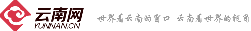 云南網