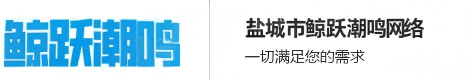 鹽城市鯨躍潮鳴網絡科技有限公司